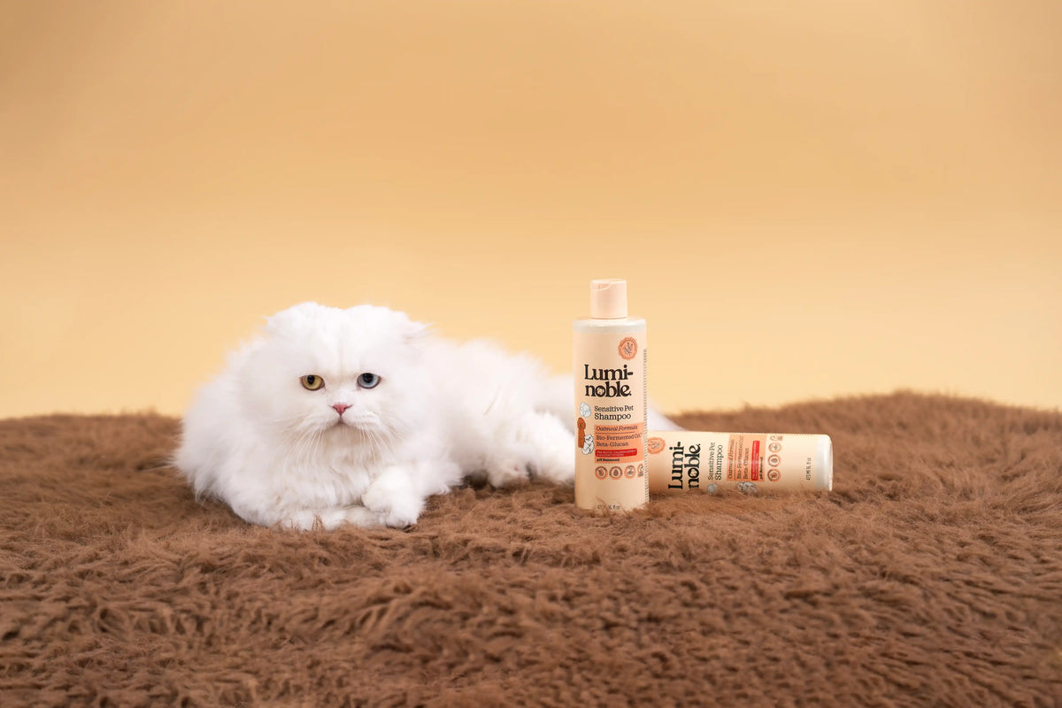 Sensitive Care Duo – product detail photo