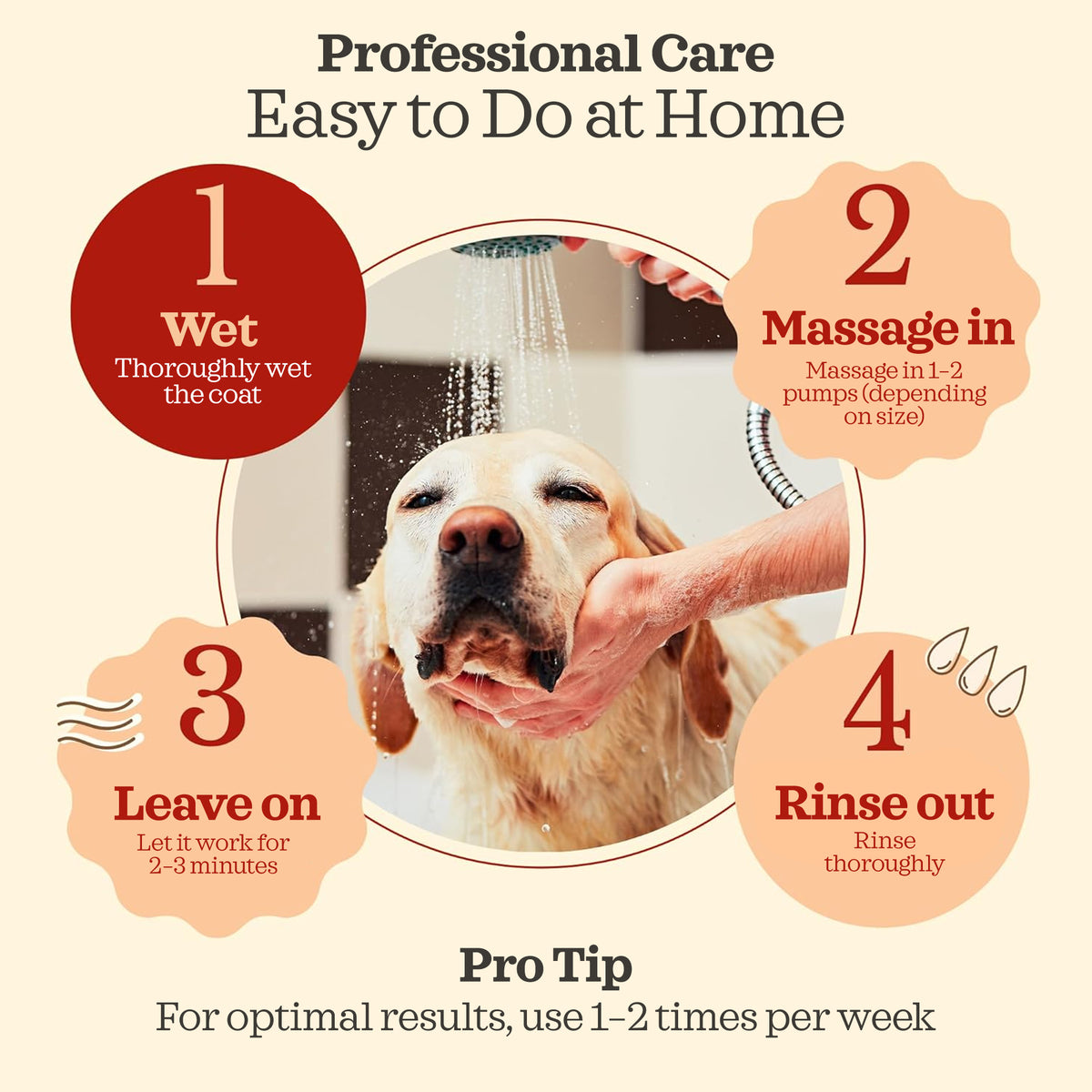 Prebiotic Pet Shampoo – easy at-home application