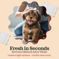 將圖片載入圖庫檢視器,Pet Cleansing Wipes – product photo