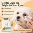 Load image into Gallery viewer, Maltese having tear stains gently wiped with a Lumi-noble Eye Wipe