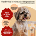 Load image into Gallery viewer, Prebiotic Pet Shampoo – plant oil ingredient highlight