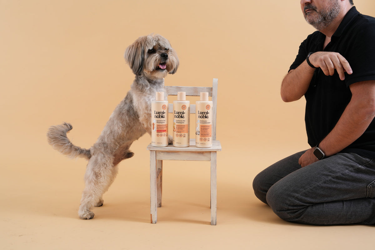 Small dog standing on a chair next to Lumi-noble pet shampoo bottles