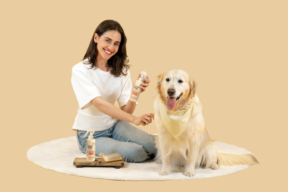 Pet parent spraying a Lumi-noble deodorizer on a happy golden retriever