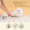 Load image into Gallery viewer, Stain & Odor Remover Spray – Enzyme Powered Cleaner for Carpets, Furniture, Bedding & Floors | Natural & Vegan & Eco-Friendly | 16.91 fl.oz
