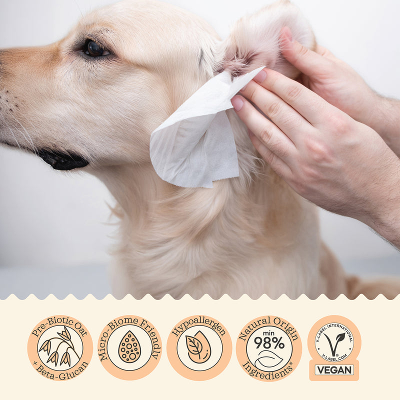 Daily Freshness Trio – product detail photo