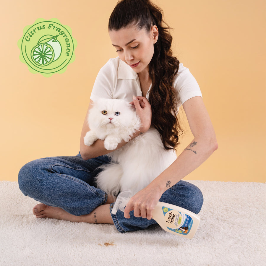 Pet Stain & Odor Remover Spray – product detail photo