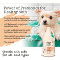 Load image into Gallery viewer, Power of prebiotics for healthy skin, Lumi-noble Prebiotic Pet Conditioner 1 gallon
