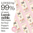 Load image into Gallery viewer, Pet Cleaning Wipes – Hypoallergenic, Moisturizing & Deodorizing, 100 Wipes
