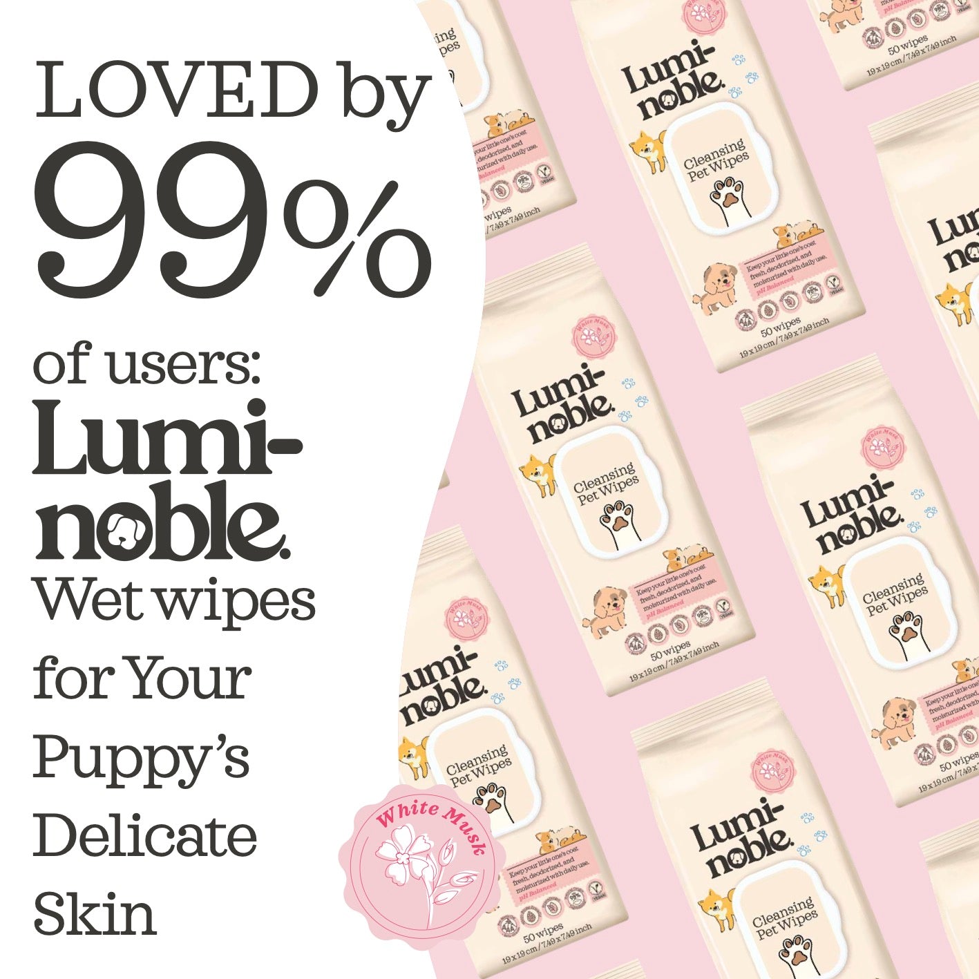 Lingettes nettoyantes pour chiots – Hypoallergéniques, biodégradables | 50 lingettes en coton