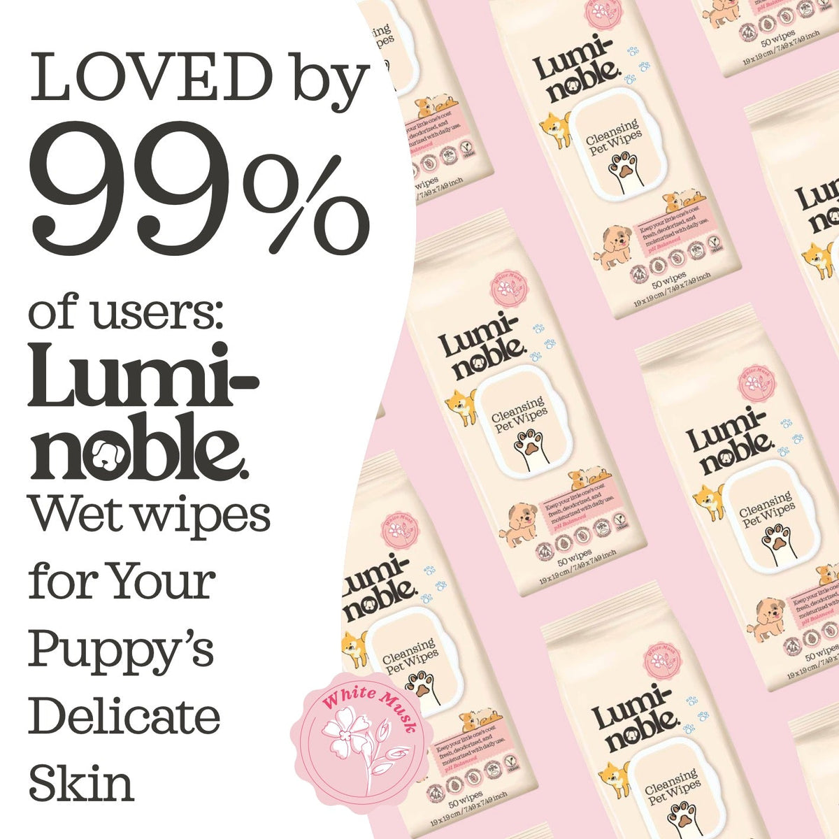 Cleansing Puppy Wipes – 3777822 pt2 73542c02 aa67 4305 a141 b93565fabc74