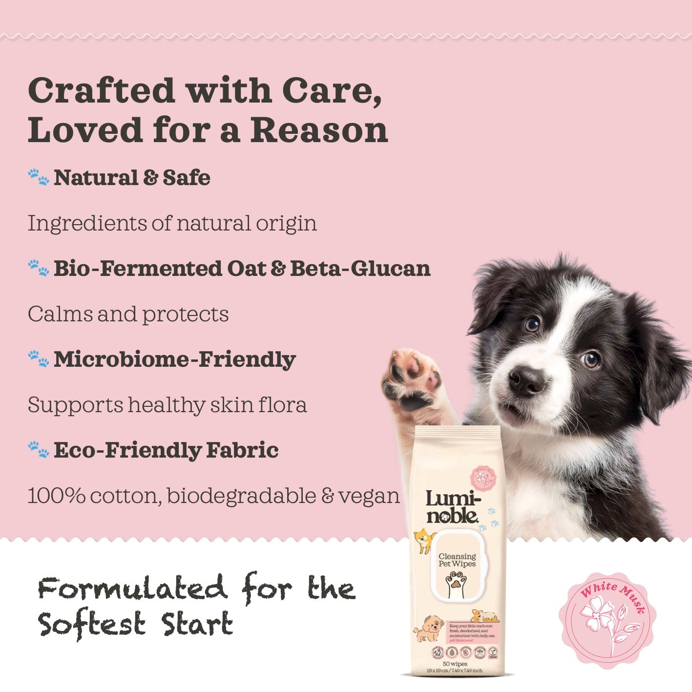 Pet Cleaning Wipes – Hypoallergenic, Moisturizing & Deodorizing, 100 Wipes