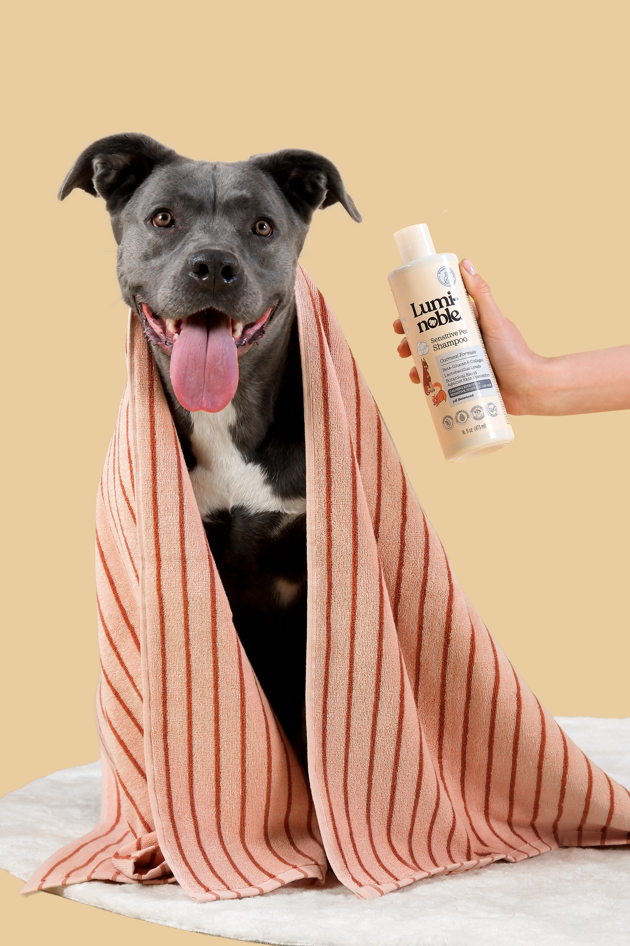 Happy dog wrapped in towel next to Lumi-noble Fragrance Free Sensitive Pet Shampoo bottle