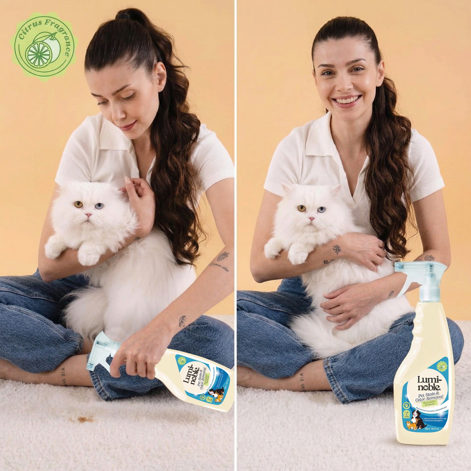 Pet Stain & Odor Remover Spray – Enzymatic, 16.91 fl oz