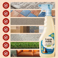 Load image into Gallery viewer, Pet Stain & Odor Remover Spray – Enzymatic, 16.91 fl oz

