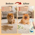 Load image into Gallery viewer, Pet Stain & Odor Remover Spray – Enzymatic, 16.91 fl oz

