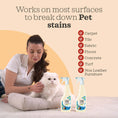 Load image into Gallery viewer, Pet Stain & Odor Remover Spray – Enzymatic, 16.91 fl oz
