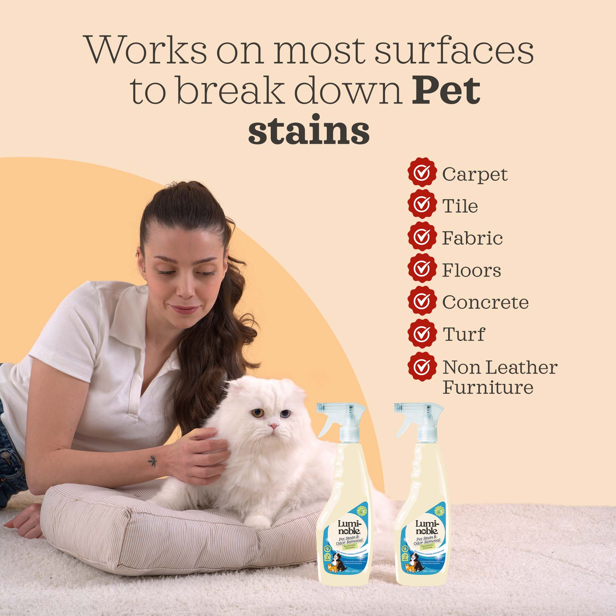 Pet Stain & Odor Remover Spray – Enzymatic, 16.91 fl oz