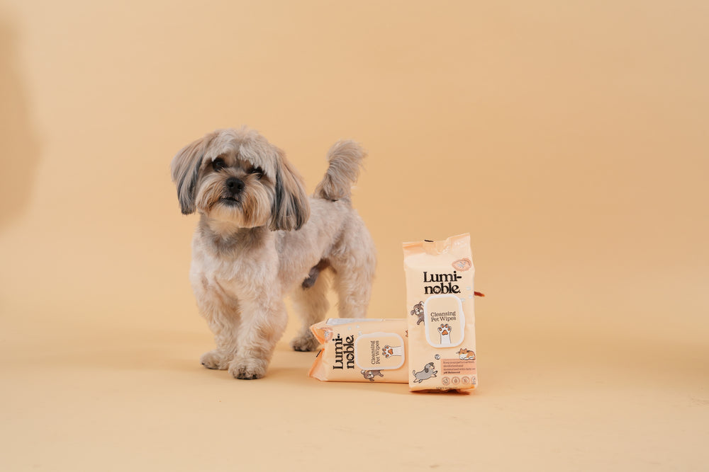 Lumi-noble wholesale range for pet retailers, grooming salons and veterinary clinics