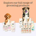 Load image into Gallery viewer, The full Lumi-noble grooming range beside the Prebiotic Pet Shampoo 1 gallon bottle
