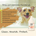 Load image into Gallery viewer, Why pet parents choose Lumi-noble Sensitive Pet Shampoo: hypoallergenic, sensitive skin friendly, alcohol free
