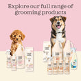 Load image into Gallery viewer, 2in1 Tearless Puppy Shampoo & Conditioner 16 fl.oz, Oatmeal & Collagen Formula, Sensitive Skin Friendly, Alcohol-Free, Moisturizing, Dry & Itchy Skin Relief, pH Balanced, White Musk Scent
