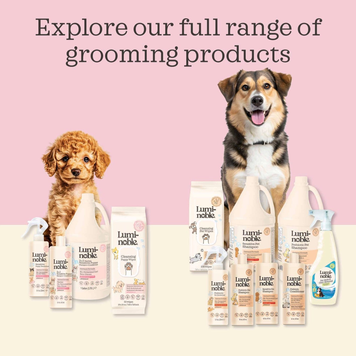 2in1 Tearless Puppy Shampoo & Conditioner 16 fl.oz, Oatmeal & Collagen Formula, Sensitive Skin Friendly, Alcohol-Free, Moisturizing, Dry & Itchy Skin Relief, pH Balanced, White Musk Scent