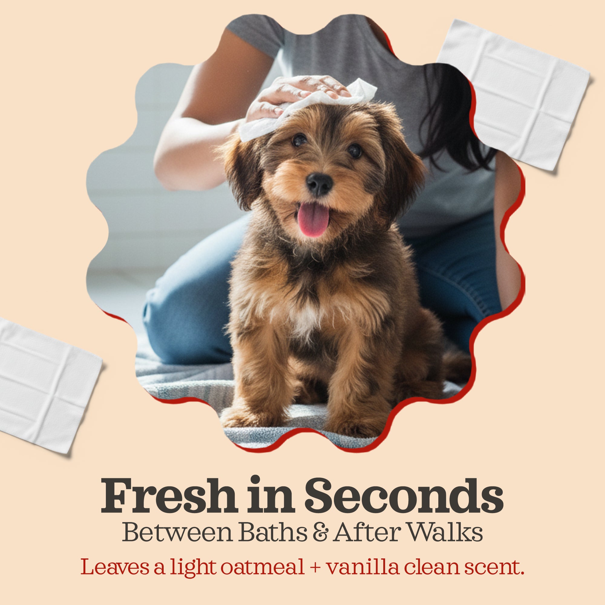 Pet Cleaning Wipes – Hypoallergenic, Moisturizing & Deodorizing, 100 Wipes