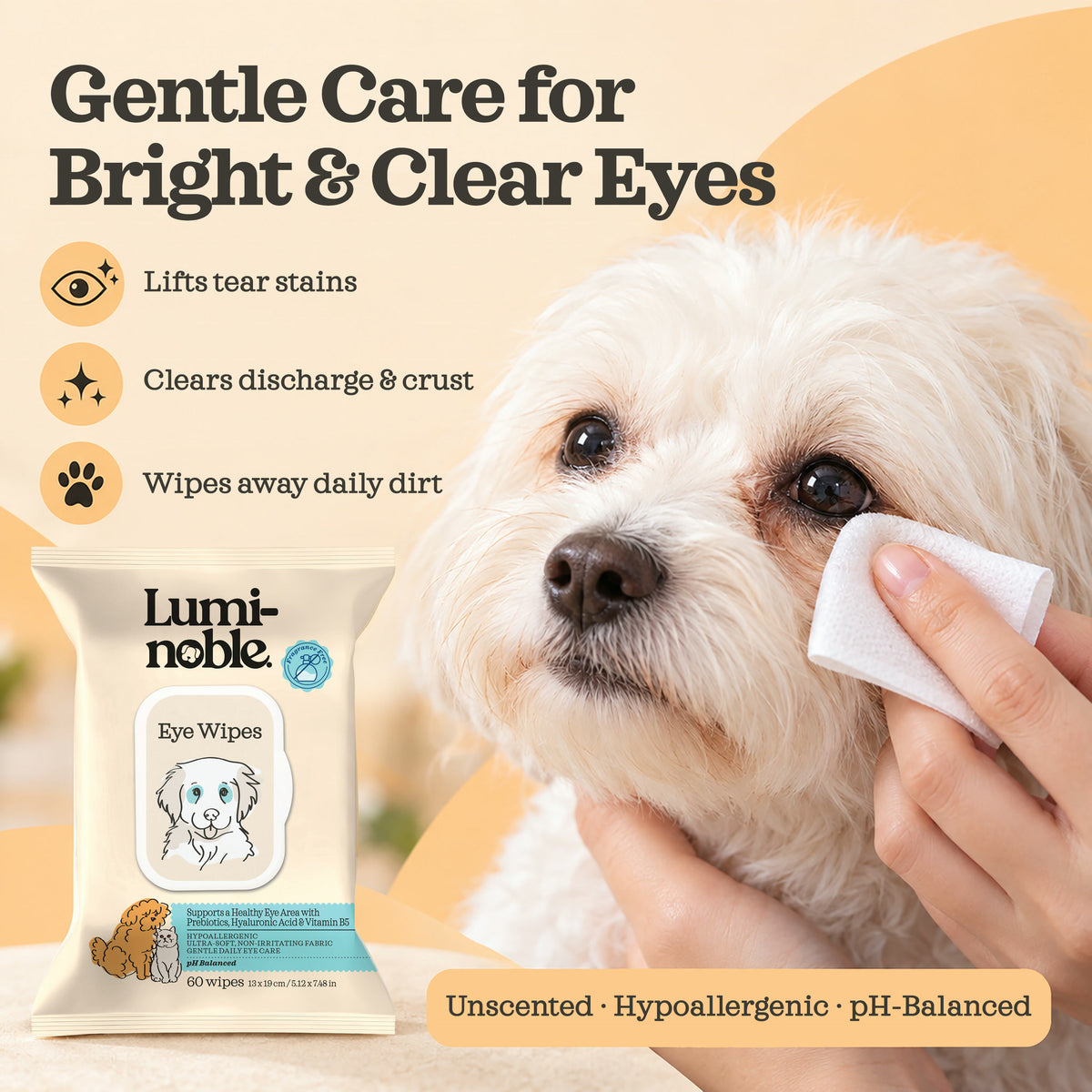 Maltese having tear stains gently wiped with a Lumi-noble Eye Wipe