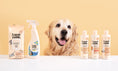 Load image into Gallery viewer, Lumi-noble Complete Wellness Grooming Kit – 5-in-1 (Dog & Cat)
