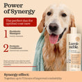 Load image into Gallery viewer, Prebiotic Pet Conditioner, 16 fl oz – Oatmeal, Hypoallergenic, Detangling & Nourishing

