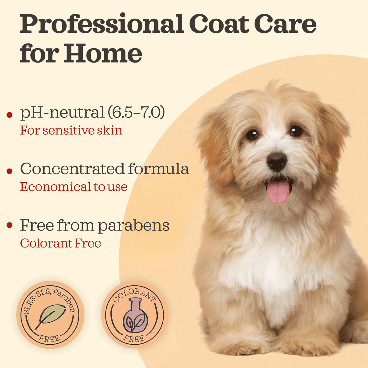 Prebiotic Pet Shampoo – salon-quality coat care at home