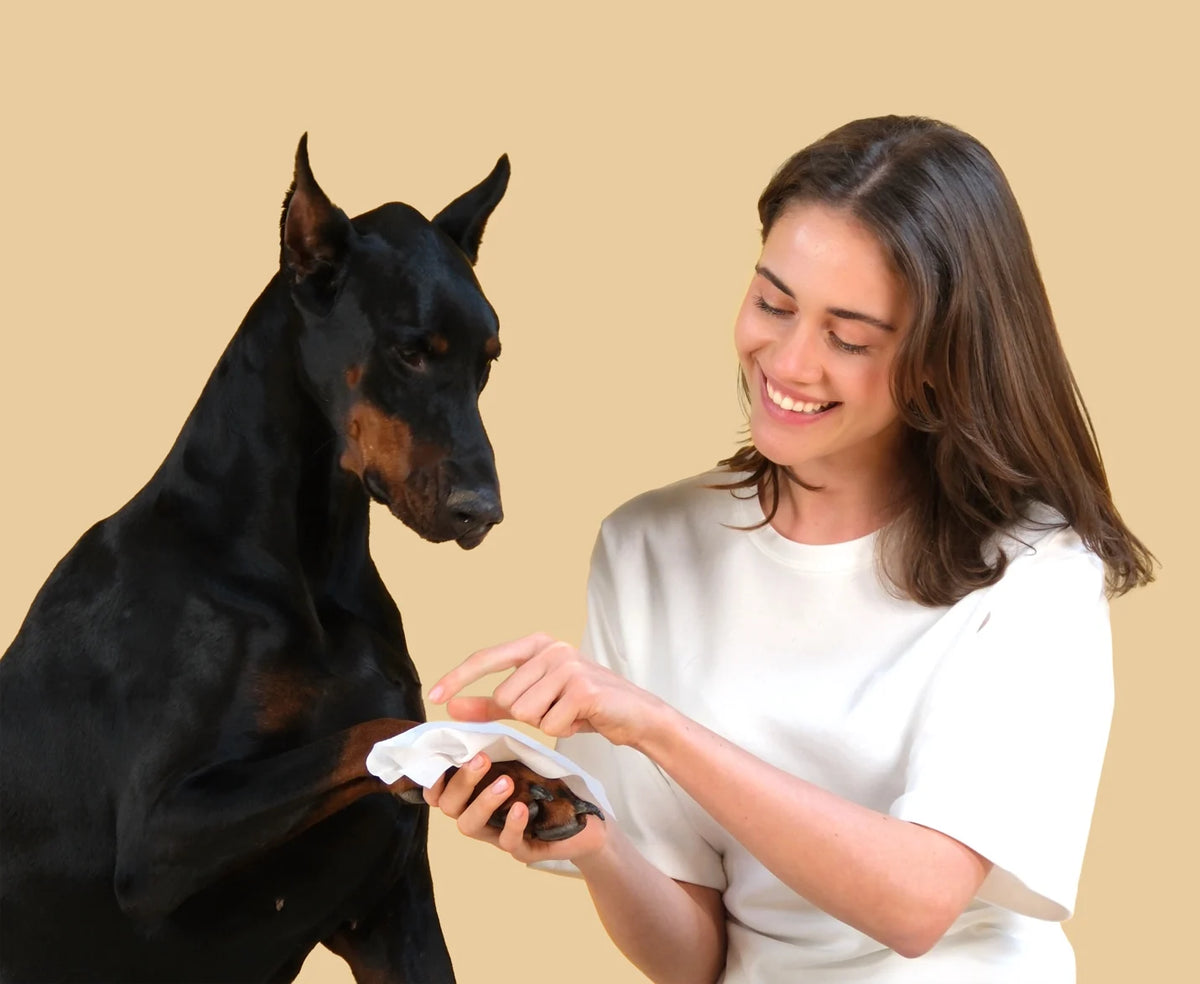 Pet Cleansing Wipes – Hypoallergenic, 100 Ct — lifestyle